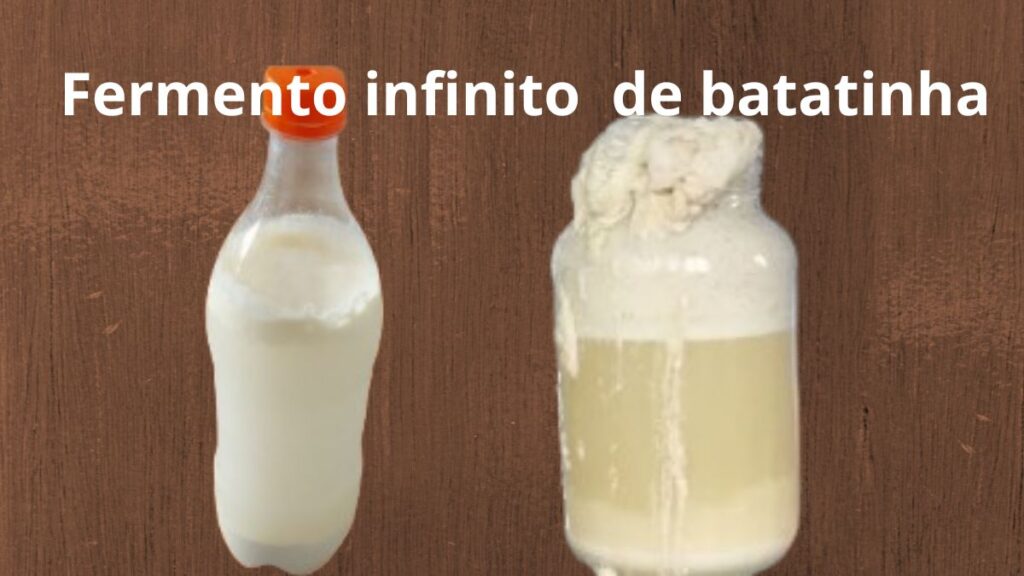 fermento infinito feito de batatinha