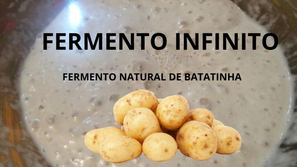Projeto Fermento Infinito de Batatinha